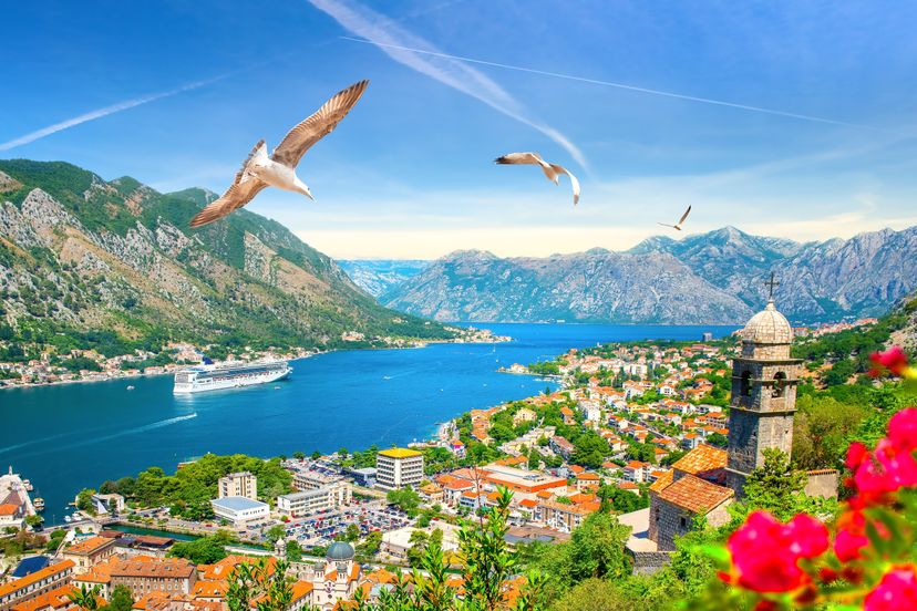 Kotor
