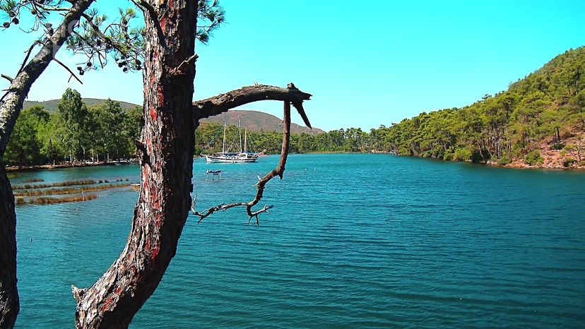 Longoz, Gökova