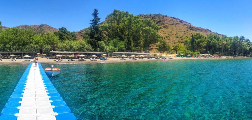 Gabaklar Koyu