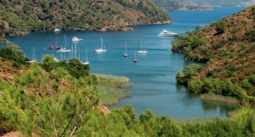 Longoz, Gökova