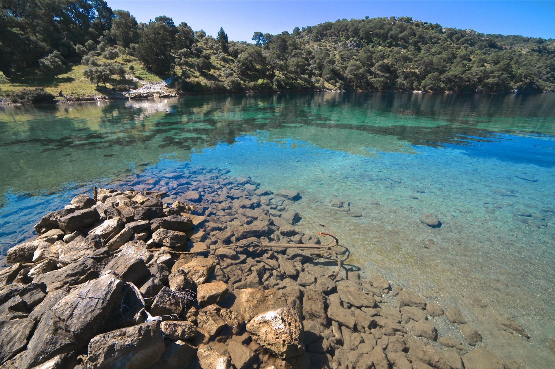 Martı Koyu