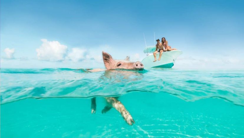 Staniel Cay