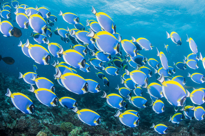 Raa Atoll