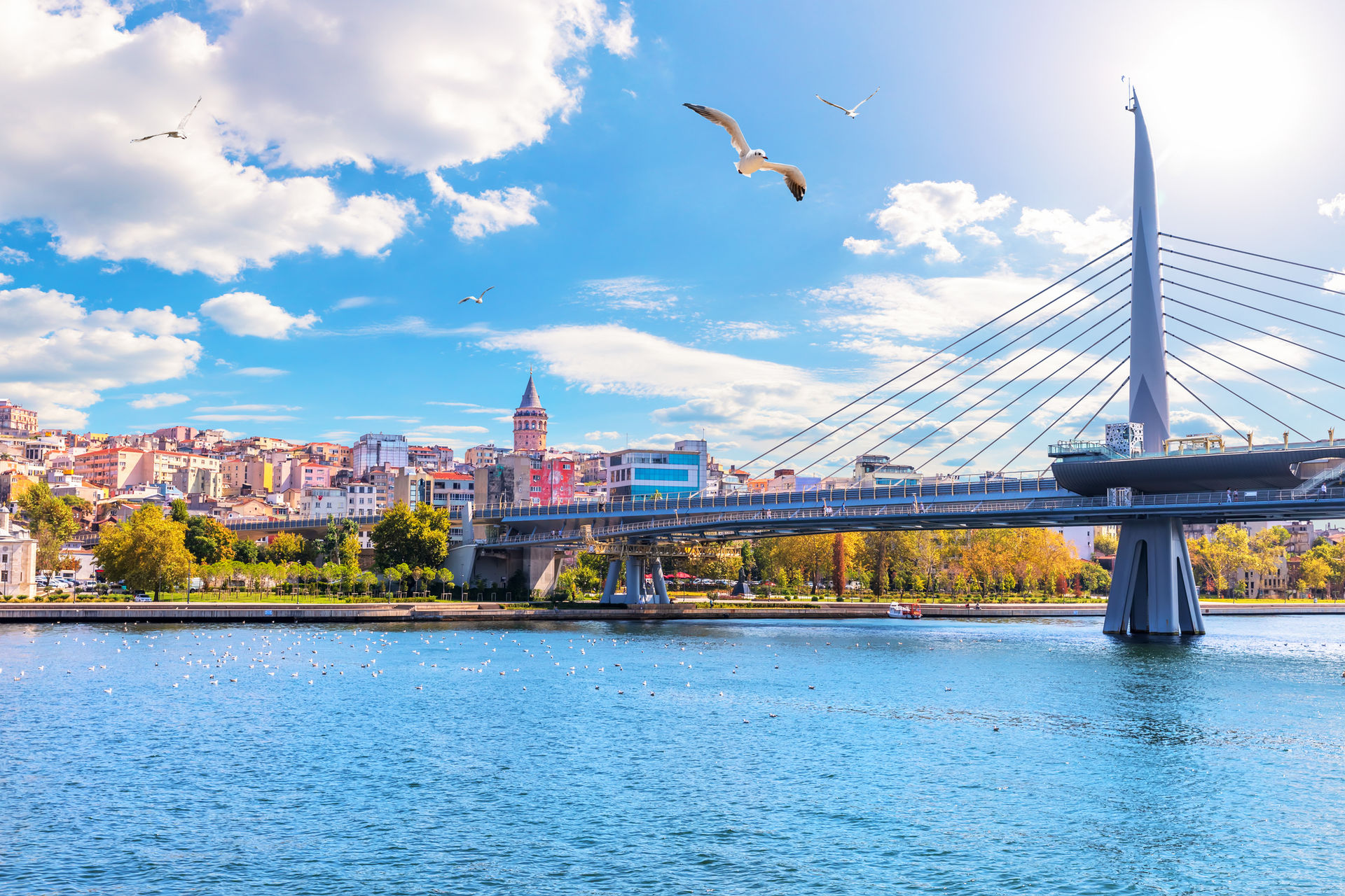 Golden Horn