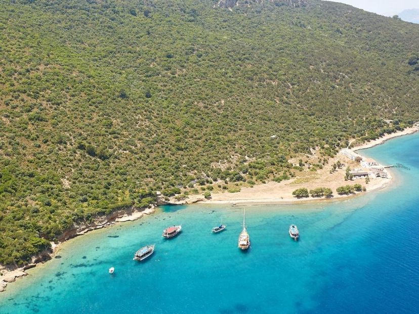 Orak Island