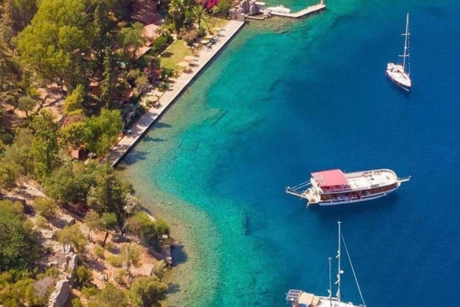 Domuz Adası