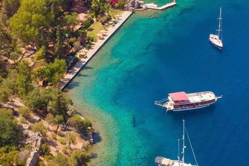 Domuz Adası