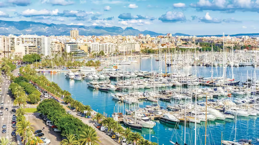 Palma