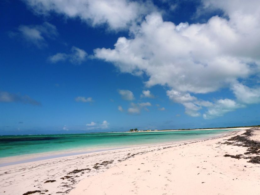 Anegada