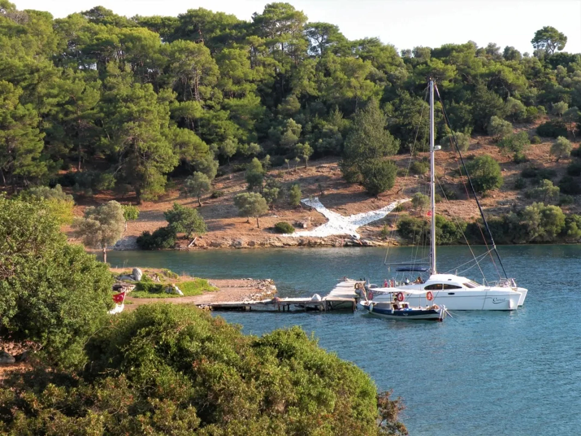 Martı Koyu