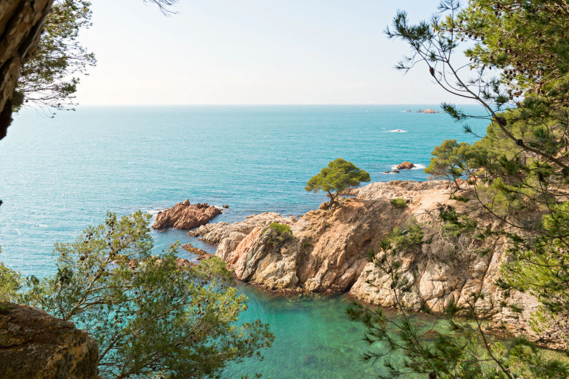 Palamós