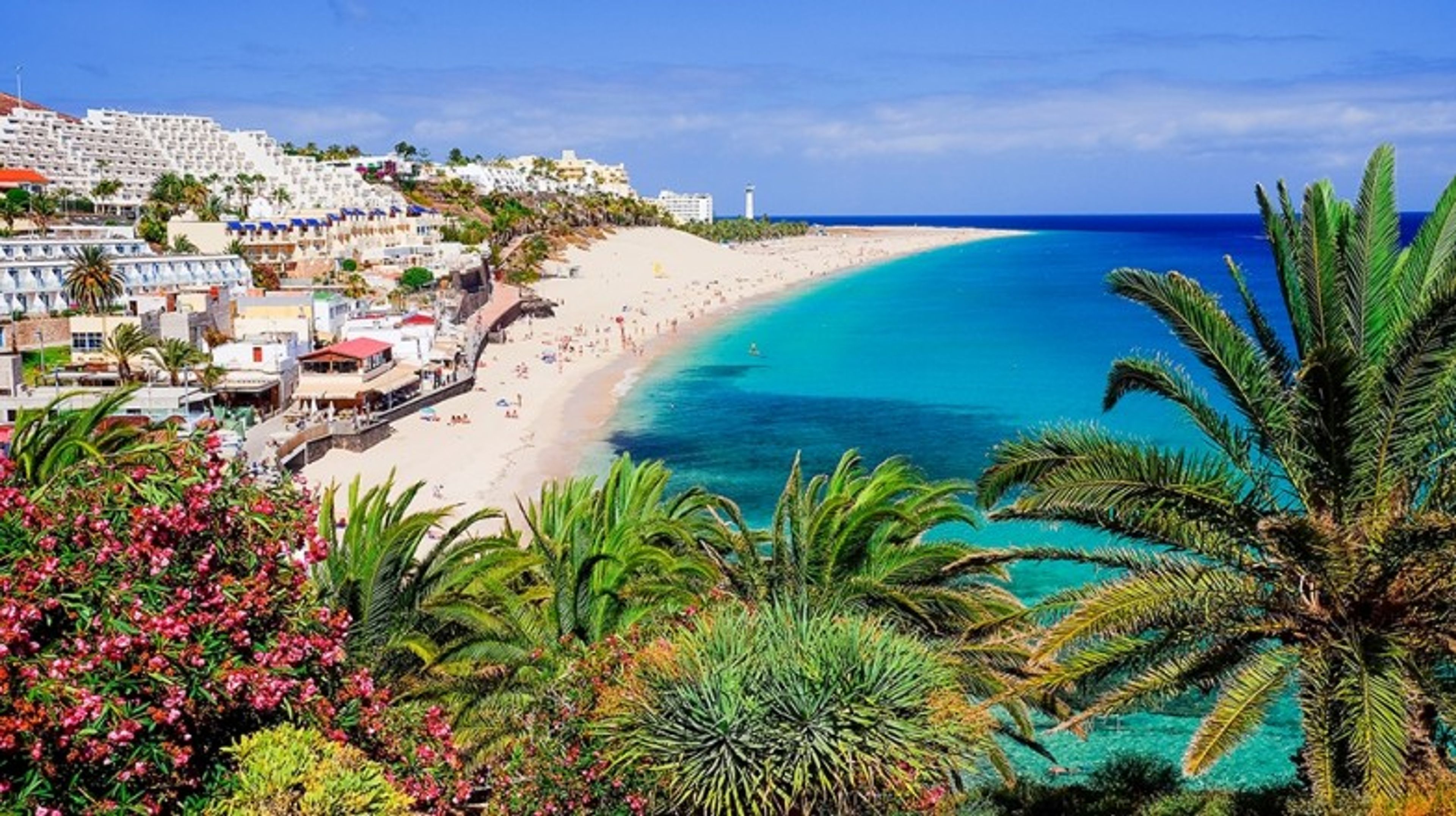 Canary Islands: Where Adventure Meets Eternal Spring
