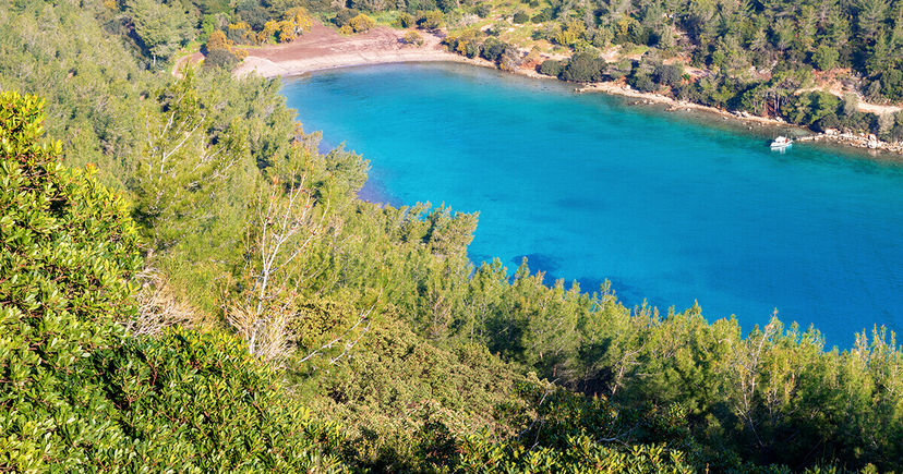 Kissebükü Koyu, Bodrum