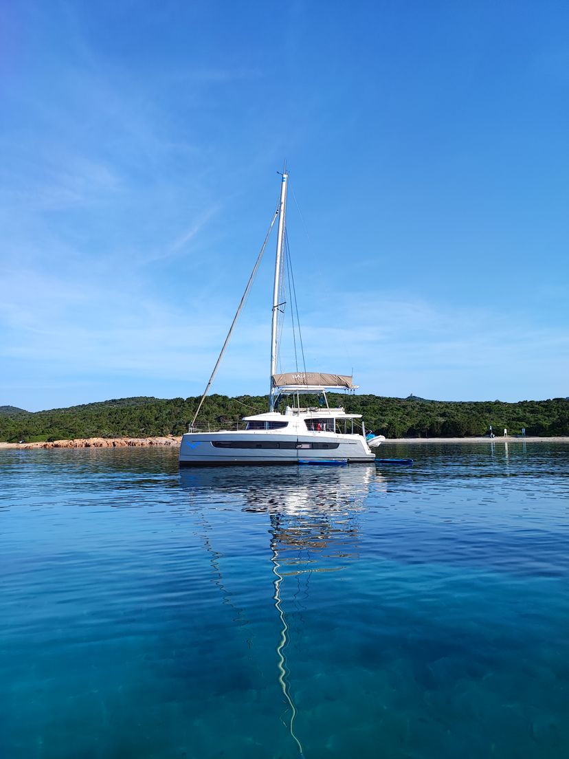 Dufour Yachts AMARA Delphinus