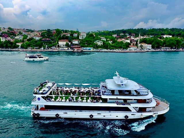 Beyaz Marti