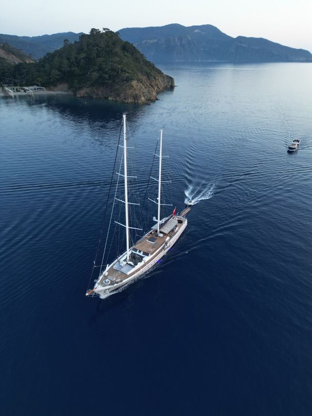 Nautilus 
