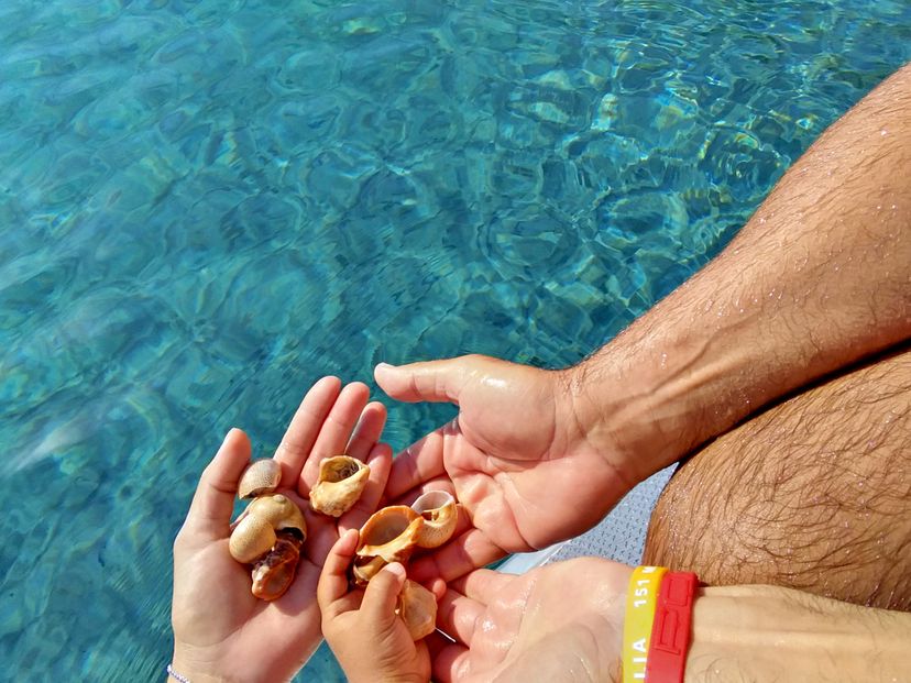 Dehler 60 BLUE OYSTER