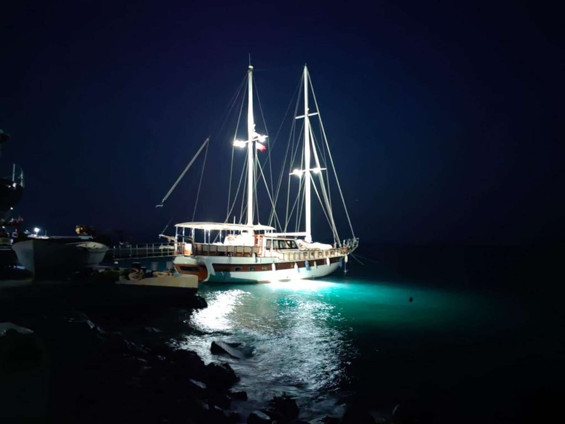 19625-Blue_B__rd_Gece_-1722866447532.jpeg