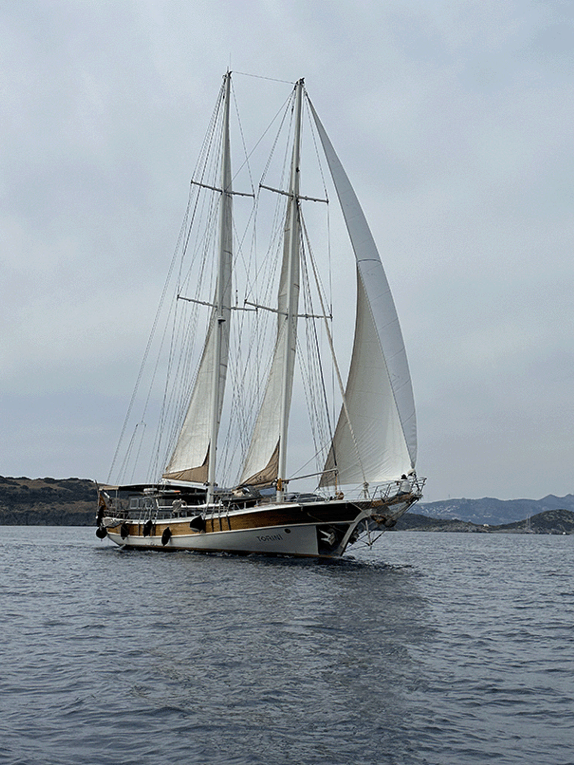 20167-Torini_4-1726127365522.png