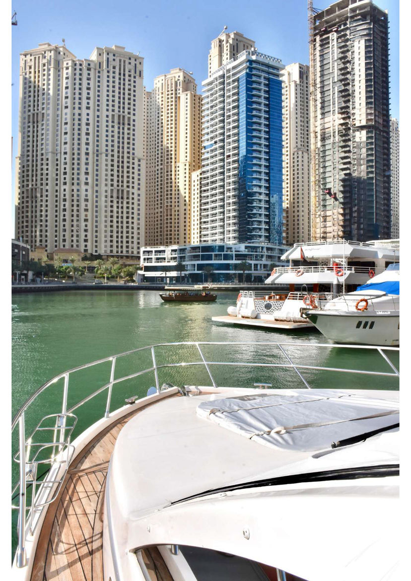 Majesty 56