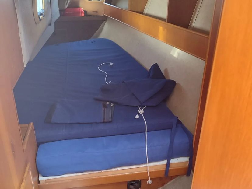 Tecnomar ALGON