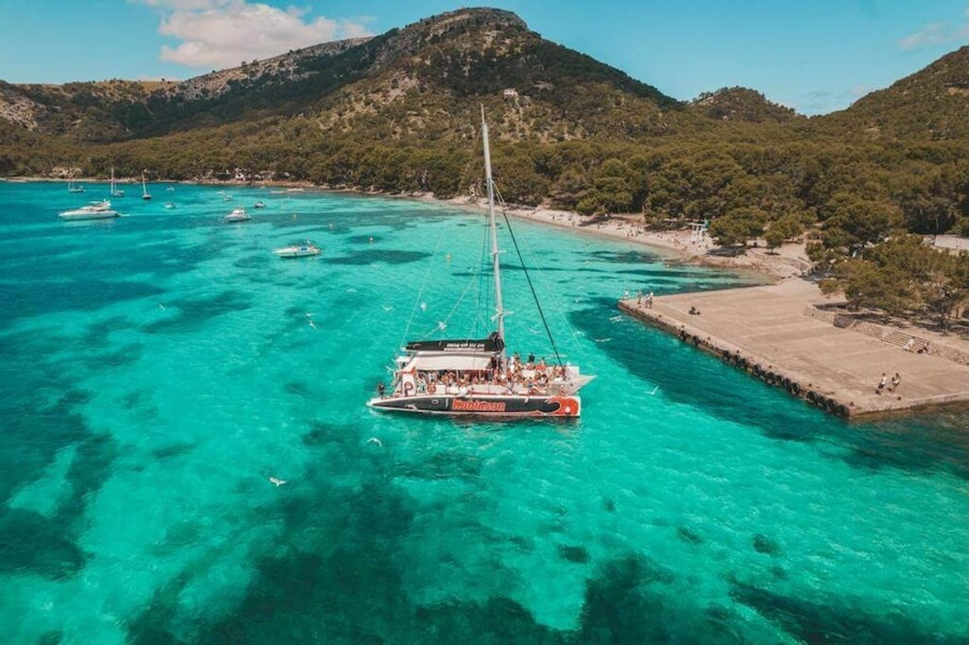 33439-Catamaran-Boat-Trips-Mallorca--1782906147131.jpeg