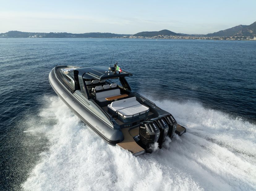 Salpa Nautilus 01