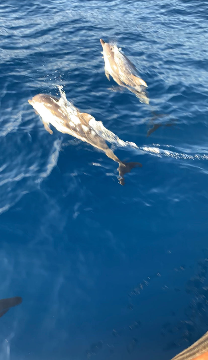 Lagoon 40 Nusa