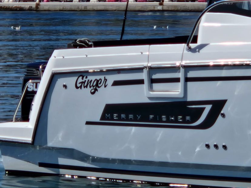 Jeanneau MERRY FISHER 1095 Ginger