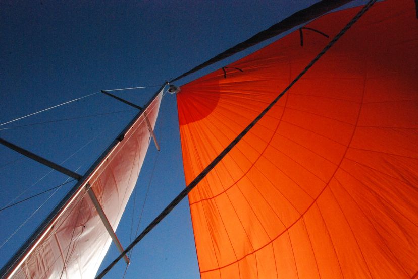 Hanse Yachts 50 Planaria
