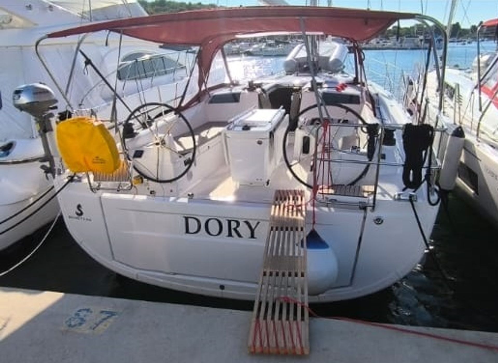 56468801454400172_Oc_40.1_Dory.jpg