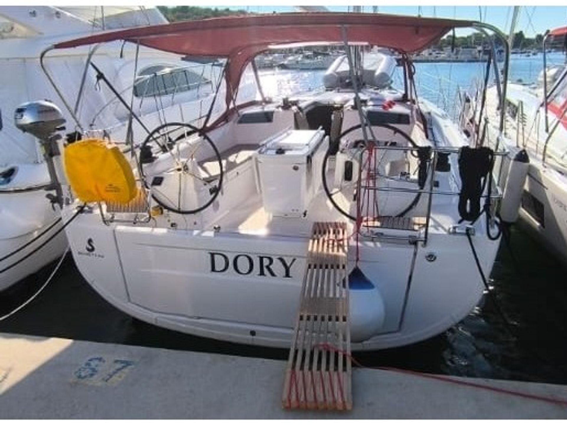 65924201454400172_Oc_40.1_Dory.jpg