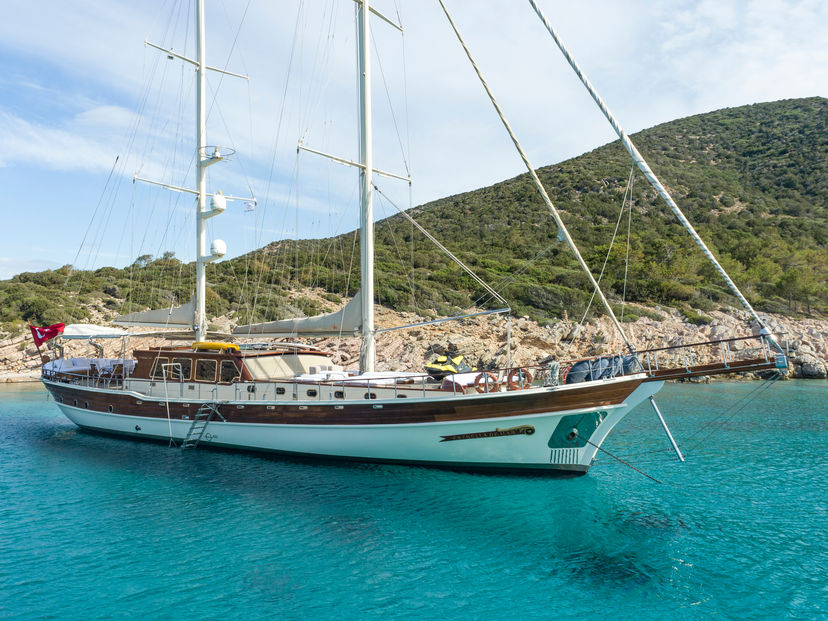 Estrella de Mar