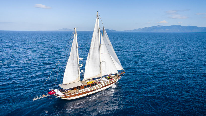 Estrella de Mar