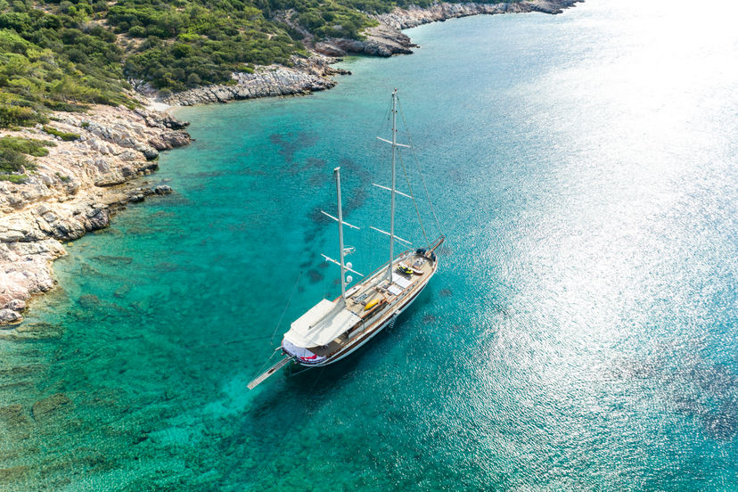 Estrella de Mar
