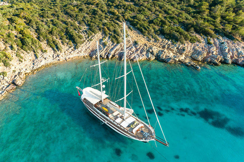 Estrella de Mar