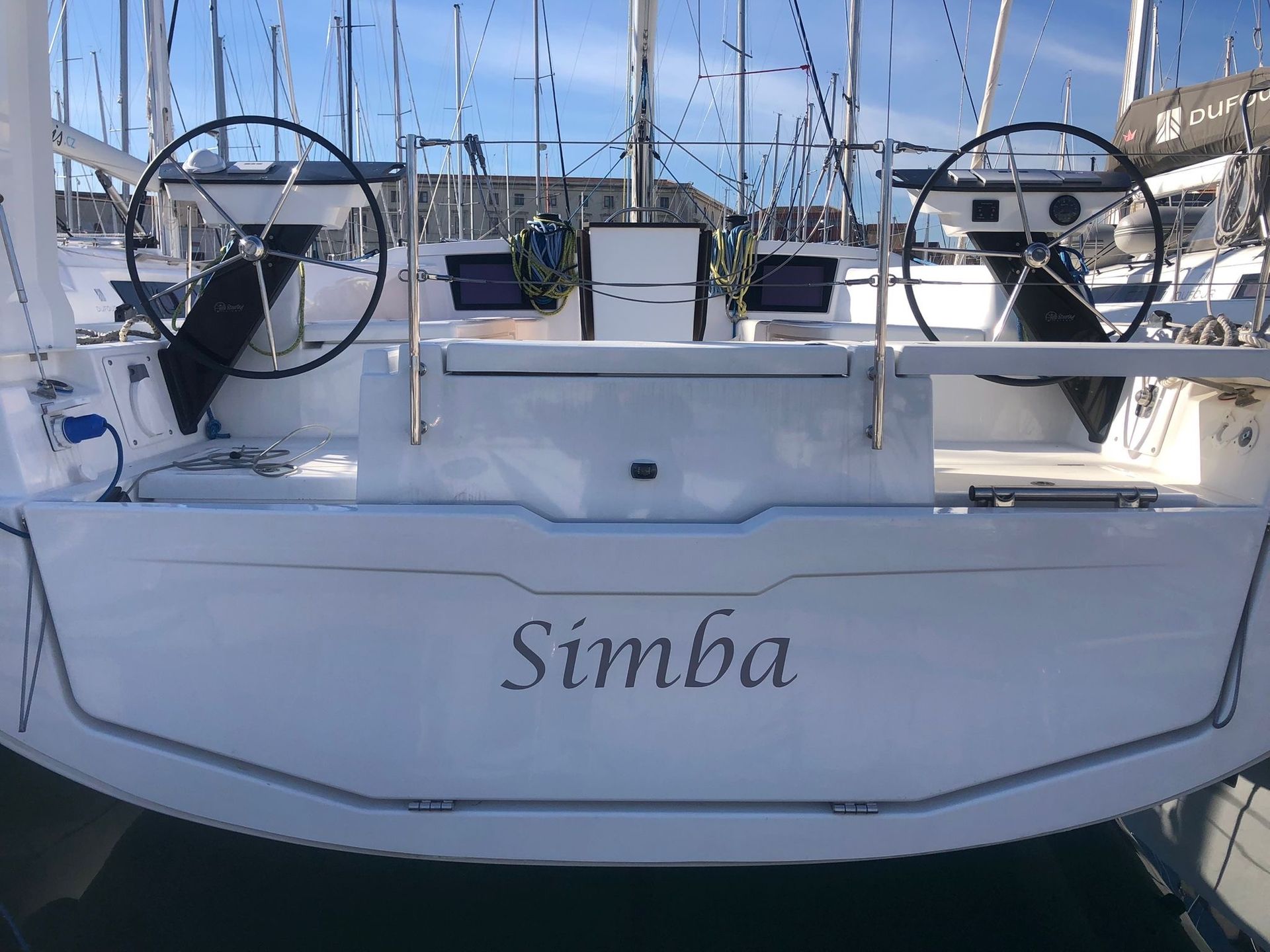 9375391198703072_simba.jpg