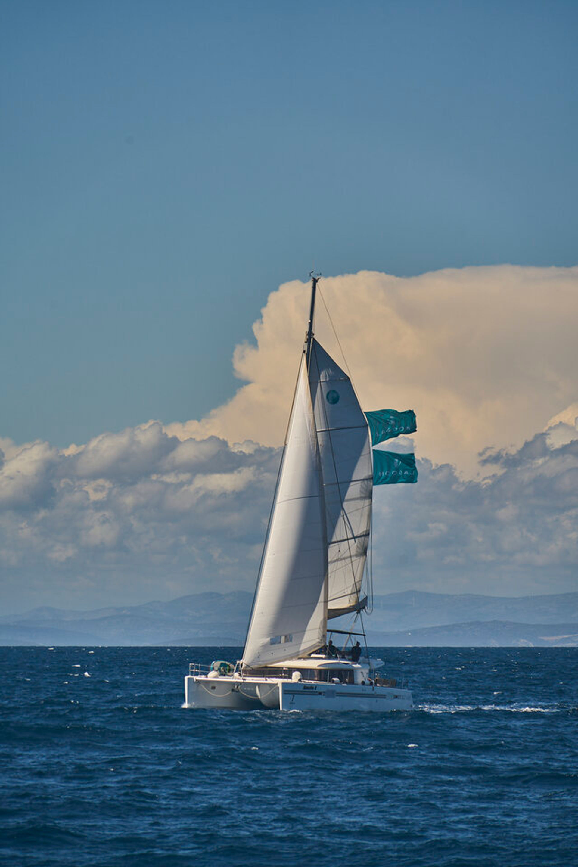 nausys-1053619-100554-n.jpg