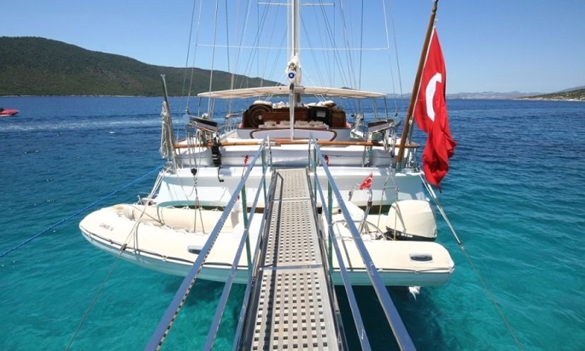 Custom Made Caner 4