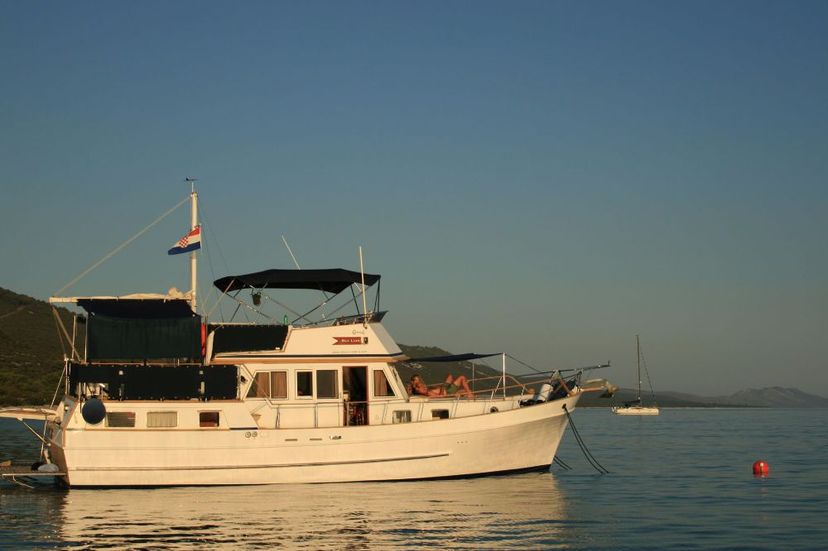 Custom Made 42 Sea Lion