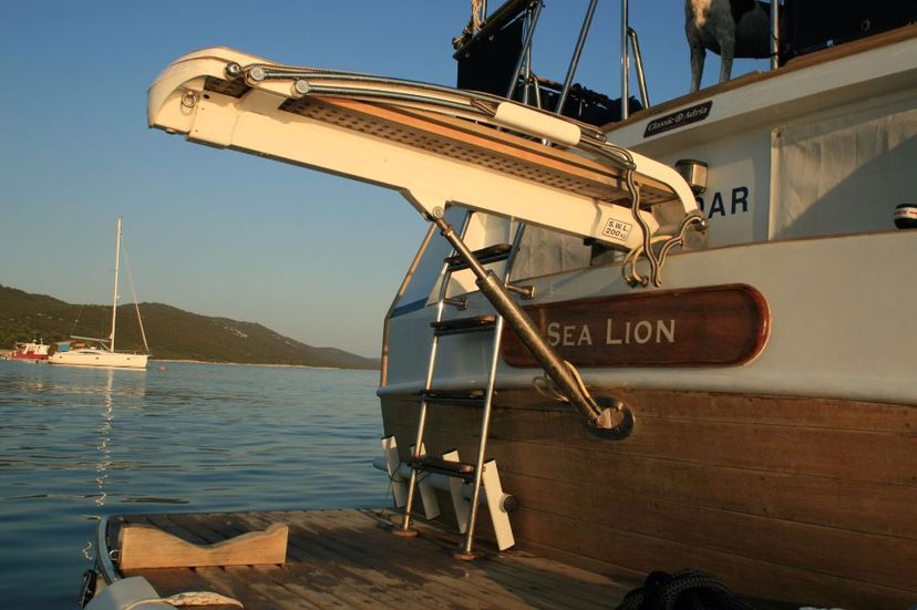 Custom Made 42 Sea Lion
