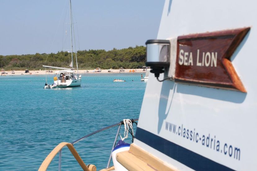 Custom Made 42 Sea Lion