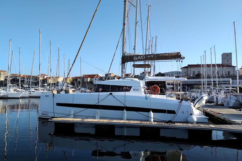 Catana 4.1 Testa