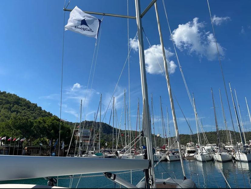 Sail Lynx