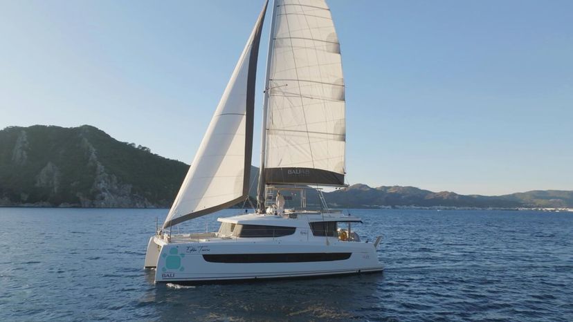 Catana 4.8  Ediba Taurus