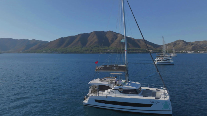Catana CATSPACE Ediba Gemini