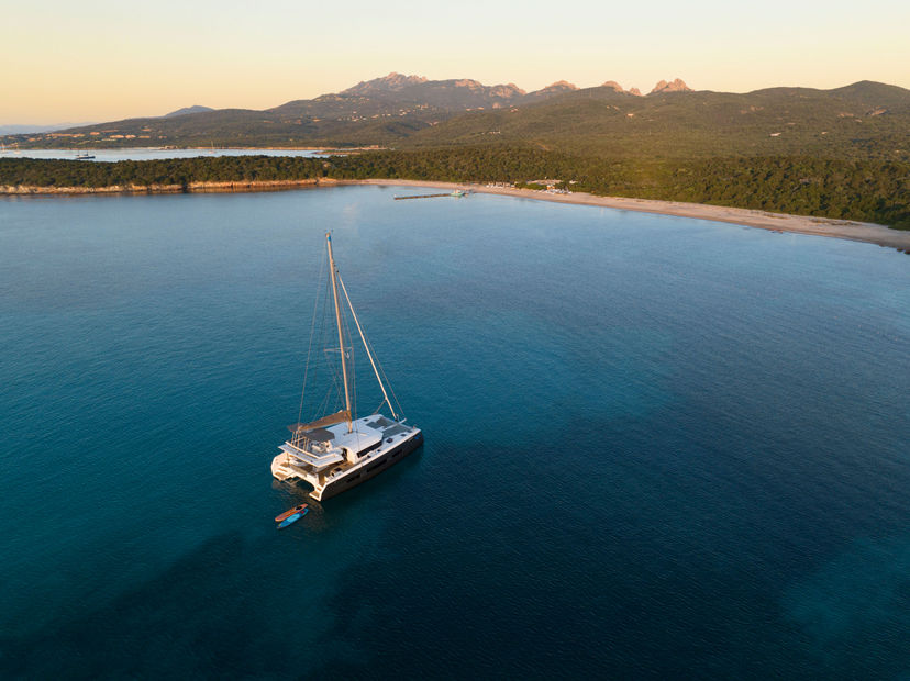 Dufour Yachts AMARA Delphinus