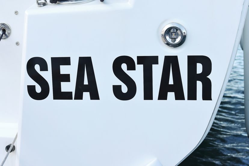 Sea Star