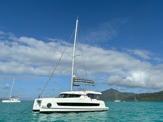 Catana CATSPACE PRIMROSE