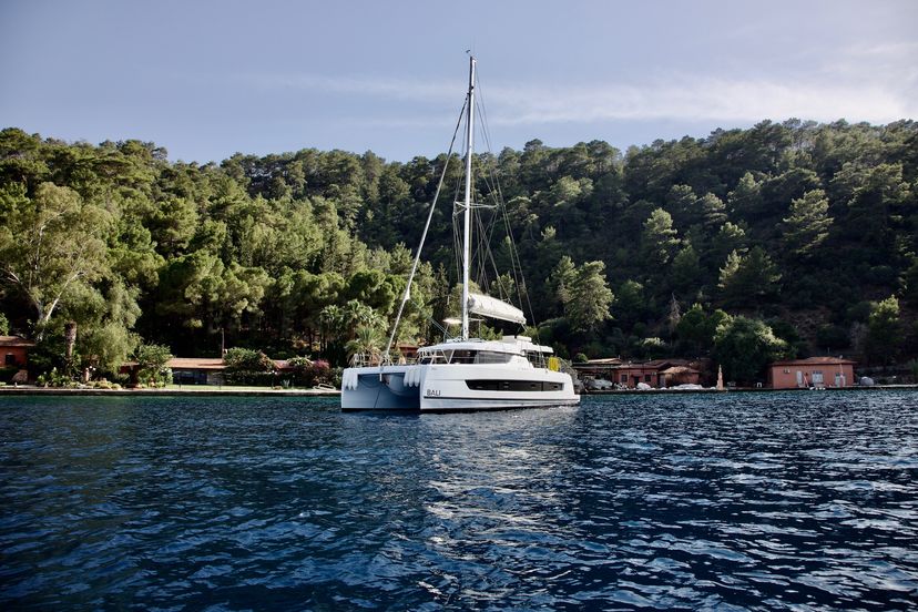 Catana CATSPACE Rea